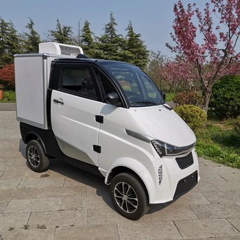 Runhorse TEV DOT COC Logistics Van With Refrigerator Box Customized Temperature -18 To 5 ℃