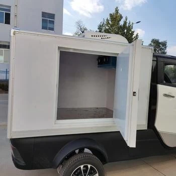 Electric Car 4 Wheel / Tricyle