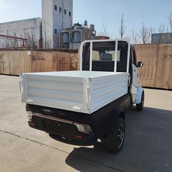 Electric Car 4 Wheel / Tricyle