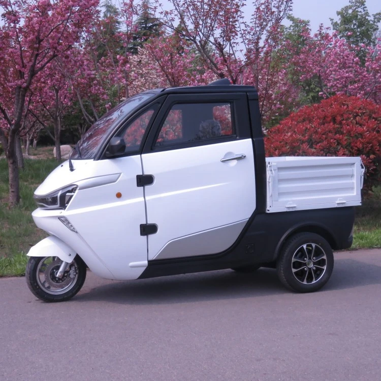 Electric Food Delivery Truck 4kw
