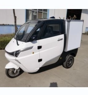 Mini Electric Truck Without Driving Licence Good Quality Closed Cargo Tricycle Mini Electric Truck Without Driving Licence Good Quality Closed Cargo Tricycle
